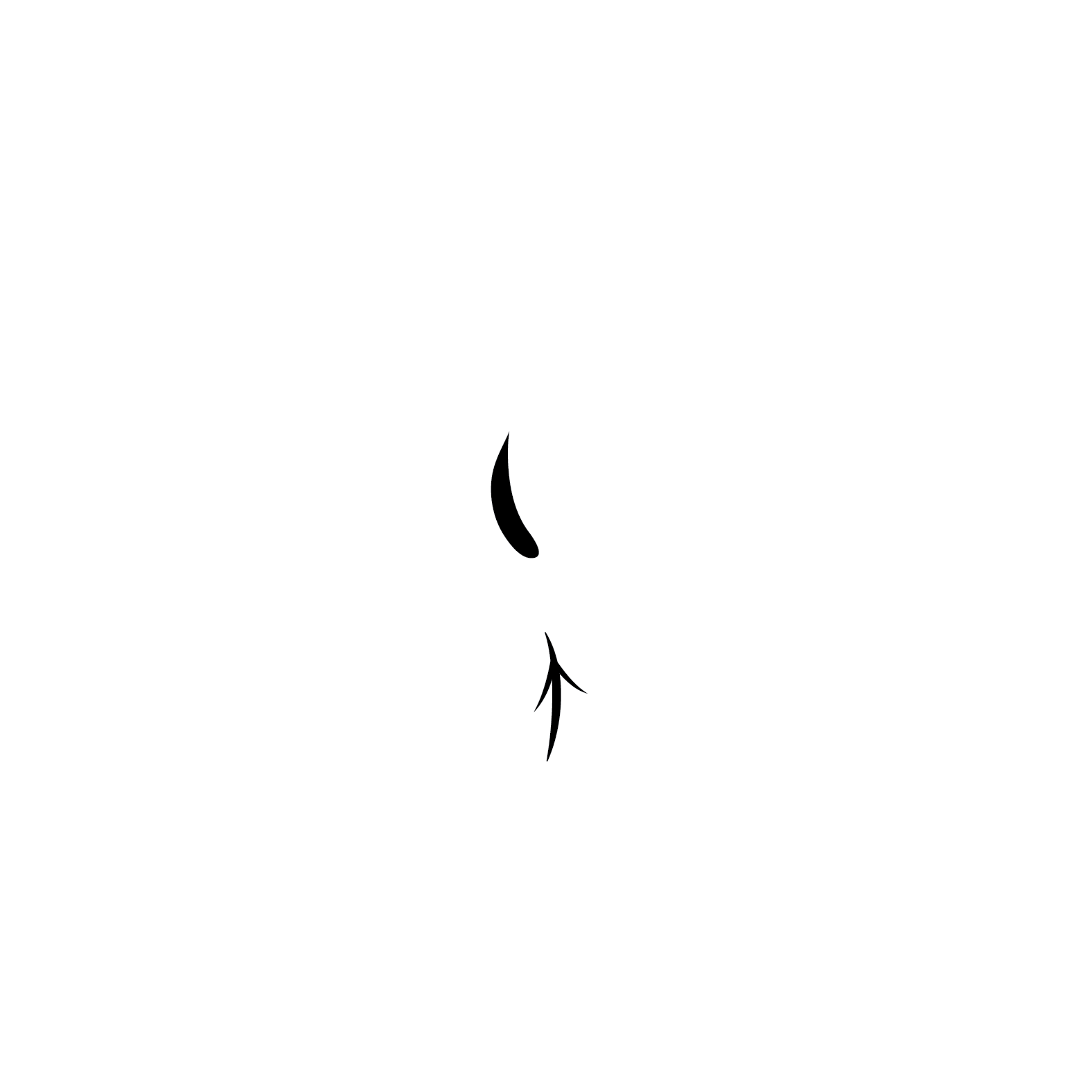 Logo | Rejuvenate Natural Medicine